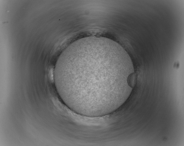 X0000115010042200911091430
