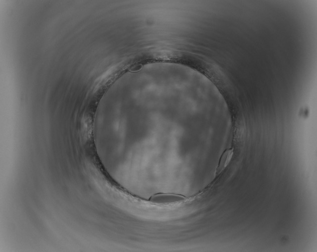 X0000115010043200911091430