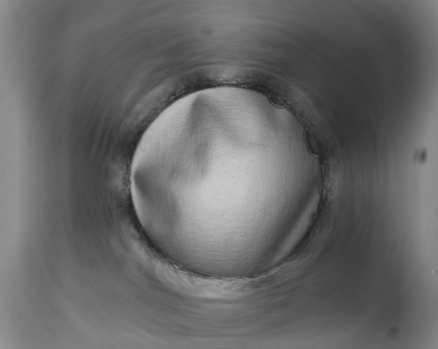 X0000115010044200911091430