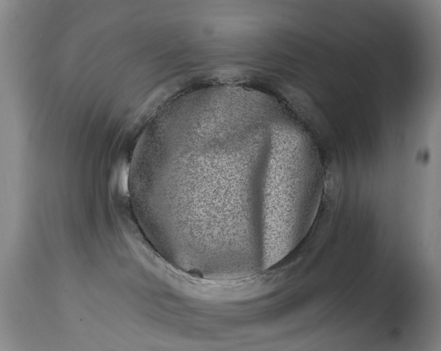 X0000115010046200911091430