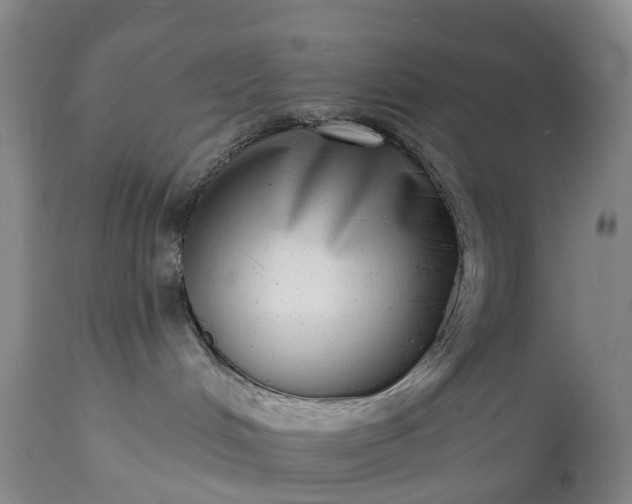 X0000115010048200911091430