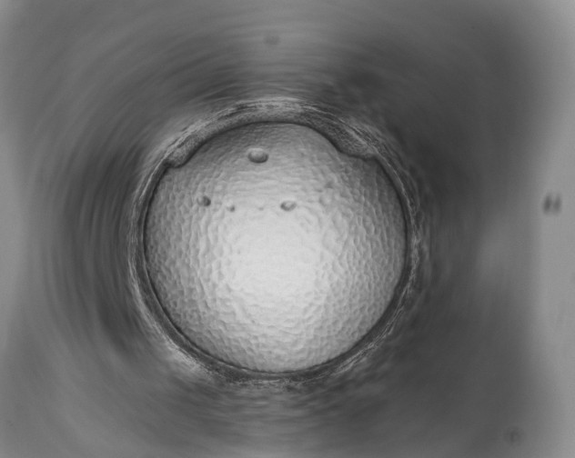 X0000115010049200911091429