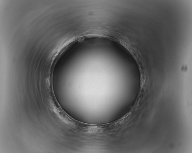 X0000115010050200911091429