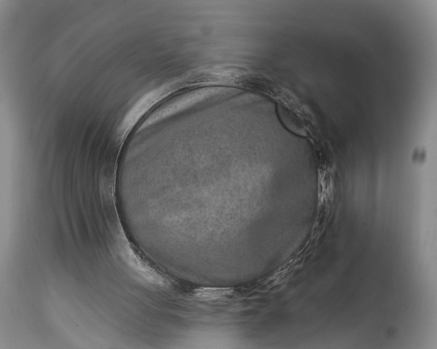 X0000115010051200911091429