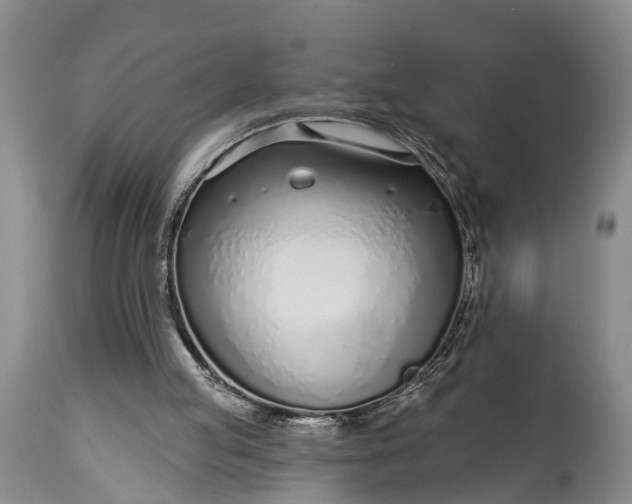X0000115010053200911091429