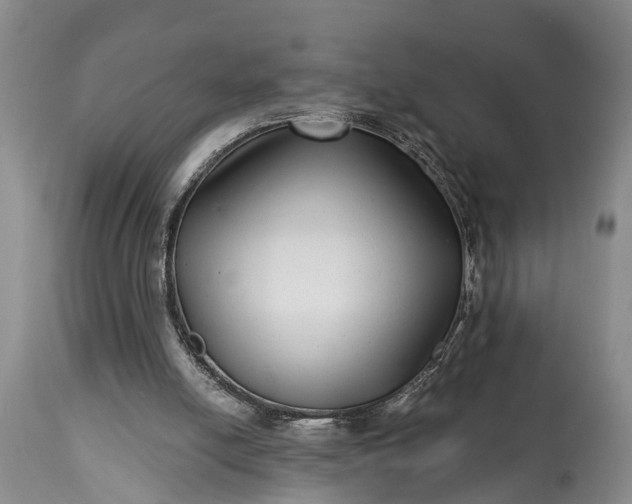 X0000115010054200911091429