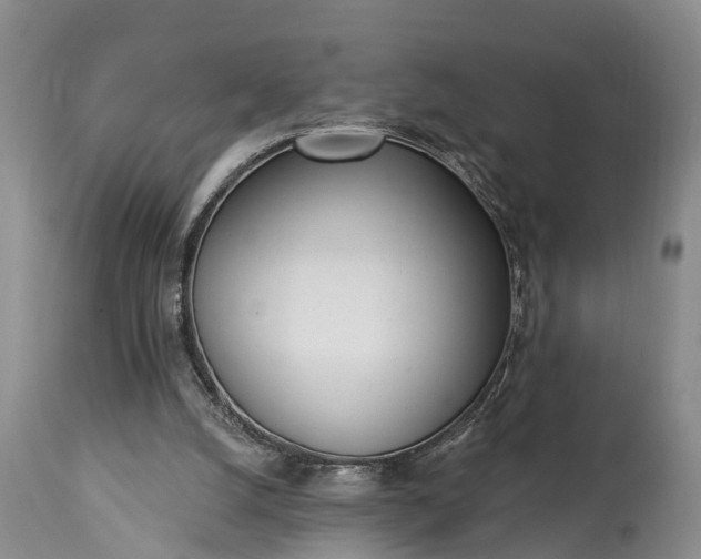 X0000115010056200911091429