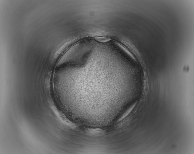 X0000115010058200911091429