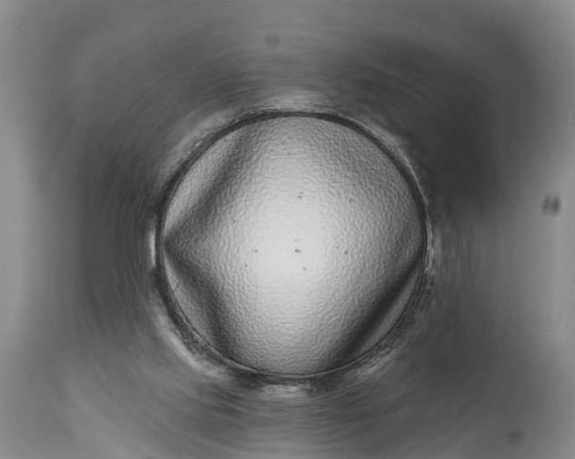X0000115010061200911091430