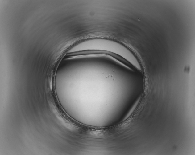 X0000115010062200911091430