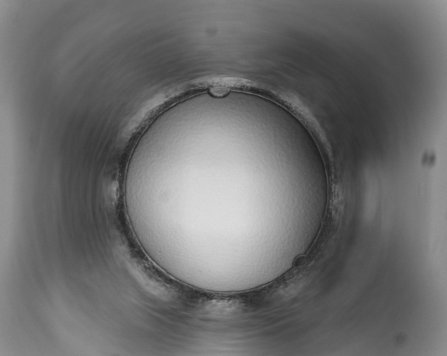 X0000115010063200911091430