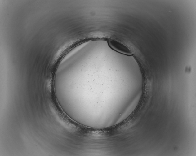 X0000115010064200911091430
