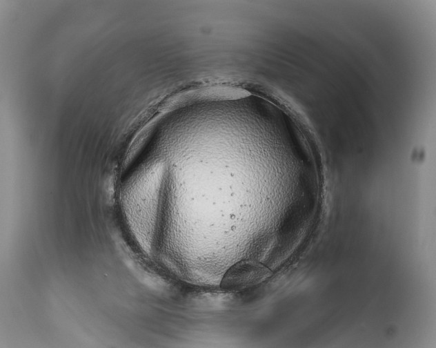 X0000115010065200911091430
