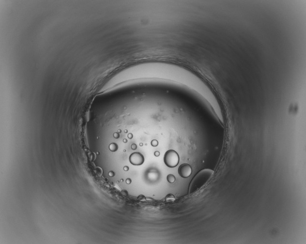 X0000115010066200911091430