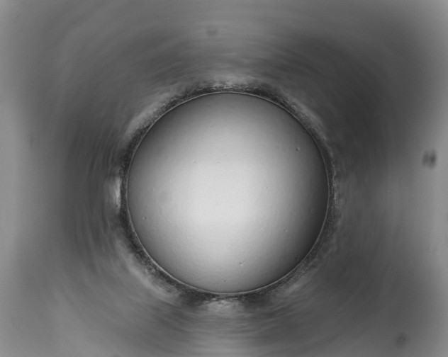 X0000115010067200911091430