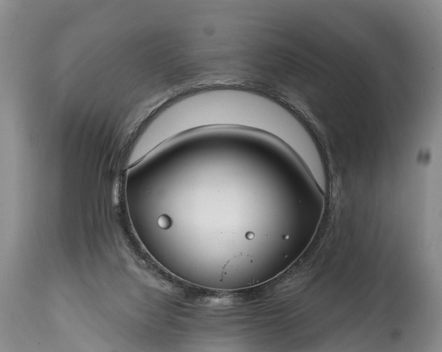 X0000115010068200911091430