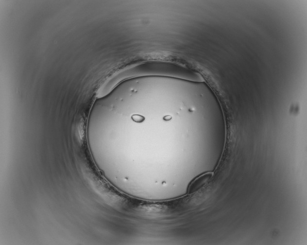 X0000115010069200911091430