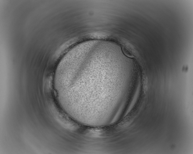 X0000115010071200911091430