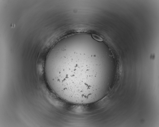 X0000115010074200911091430