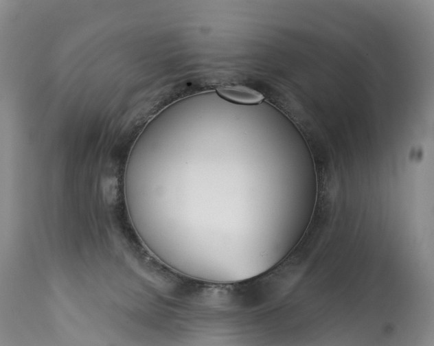 X0000115010080200911091430