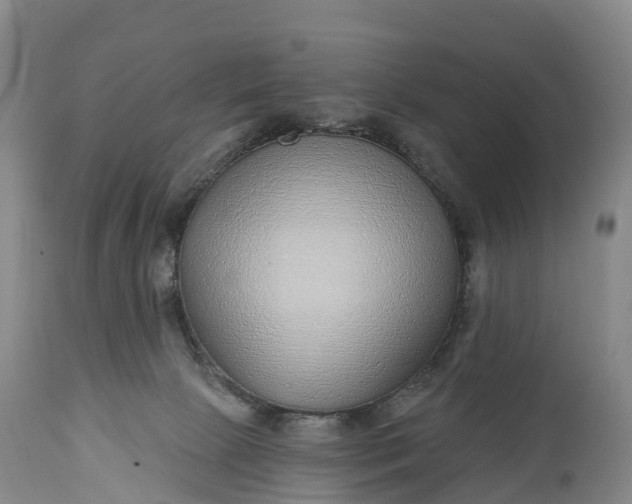 X0000115010081200911091430