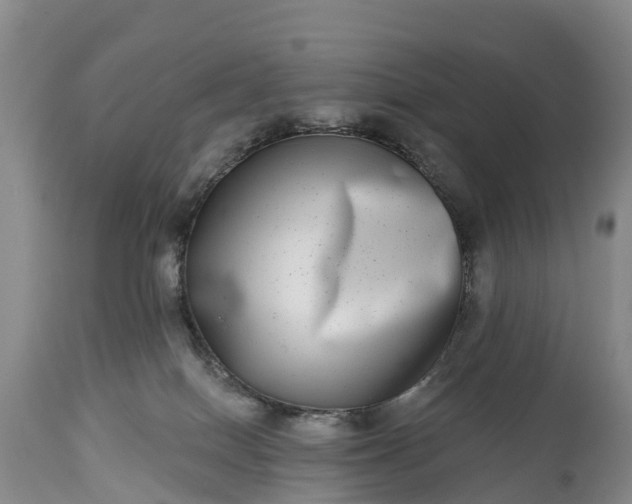 X0000115010086200911091430