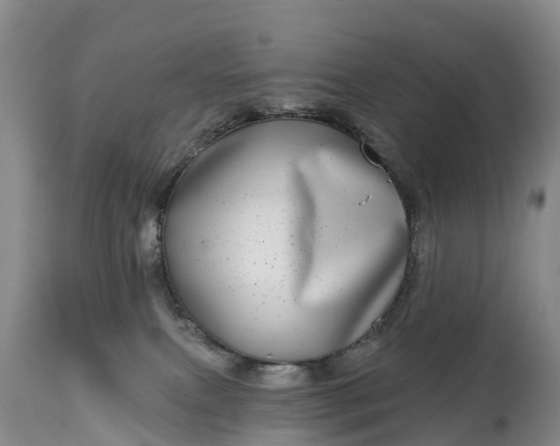 X0000115010087200911091430