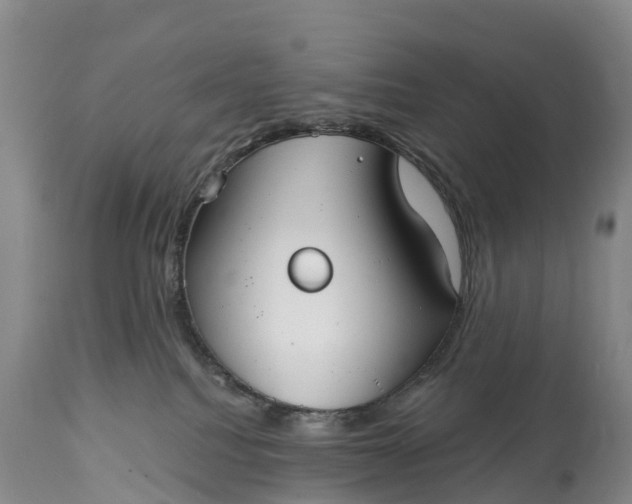 X0000115010088200911091430