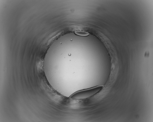 X0000115010096200911091430