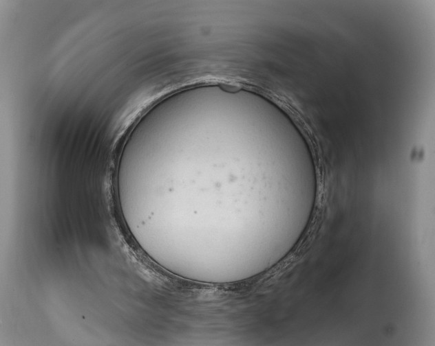 X0000115010098200911091429