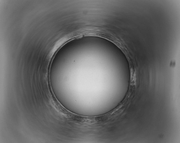 X0000115010099200911091429
