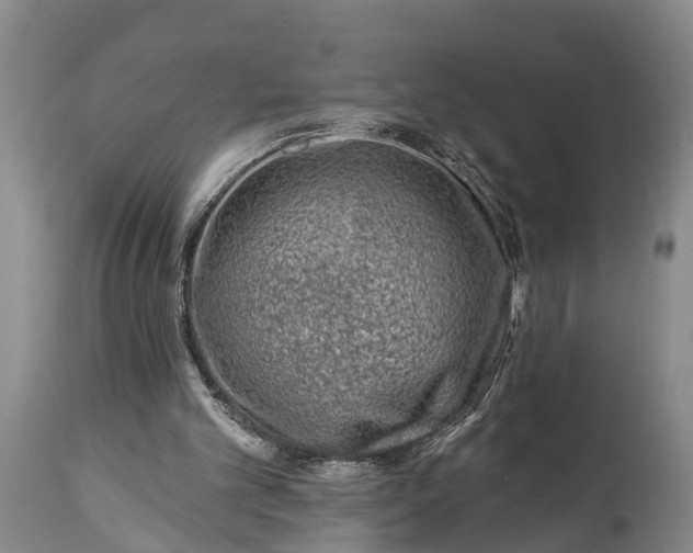 X0000115010101200911091429