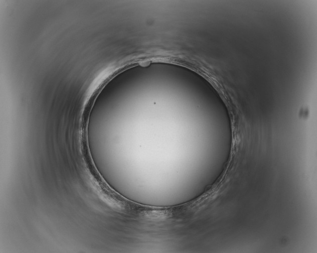 X0000115010102200911091429