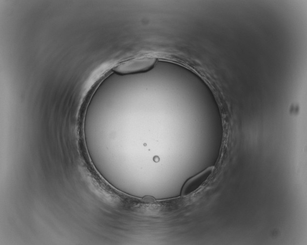 X0000115010104200911091429