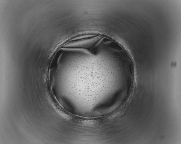 X0000115010105200911091429