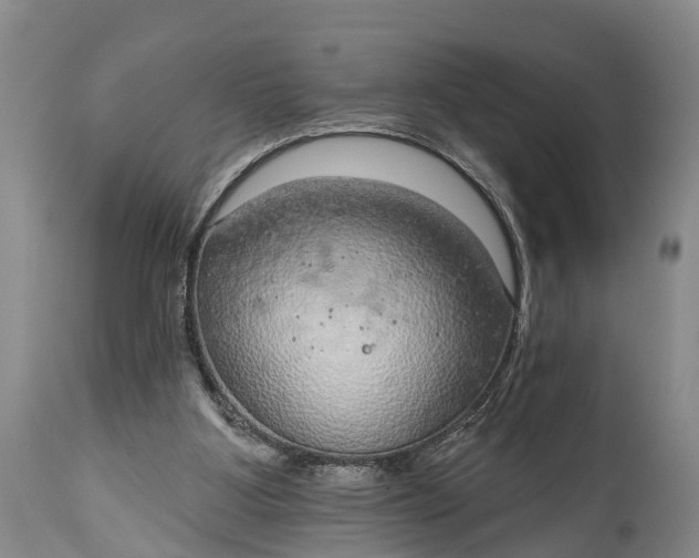 X0000115010107200911091429