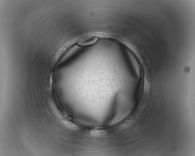 X0000115010109200911091429