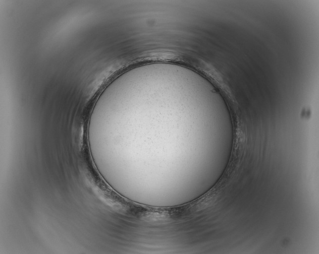 X0000115010110200911091429
