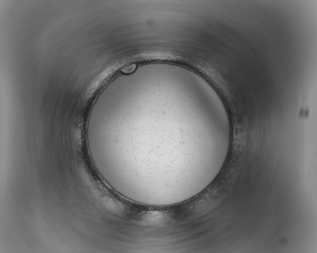 X0000115010111200911091429