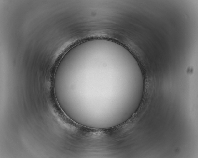 X0000115010112200911091429