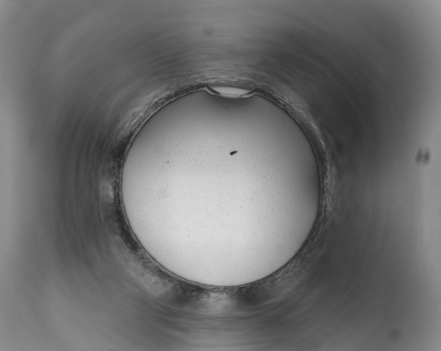X0000115010114200911091429