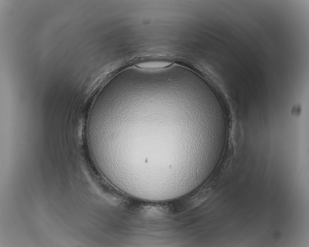 X0000115010115200911091429