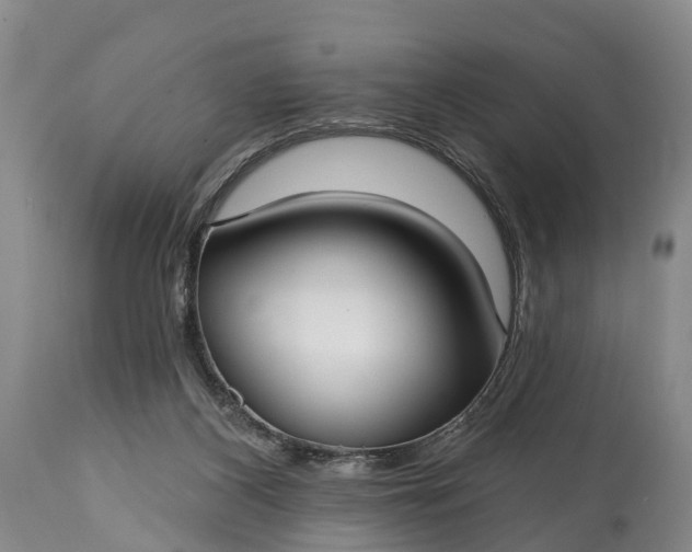 X0000115010116200911091429