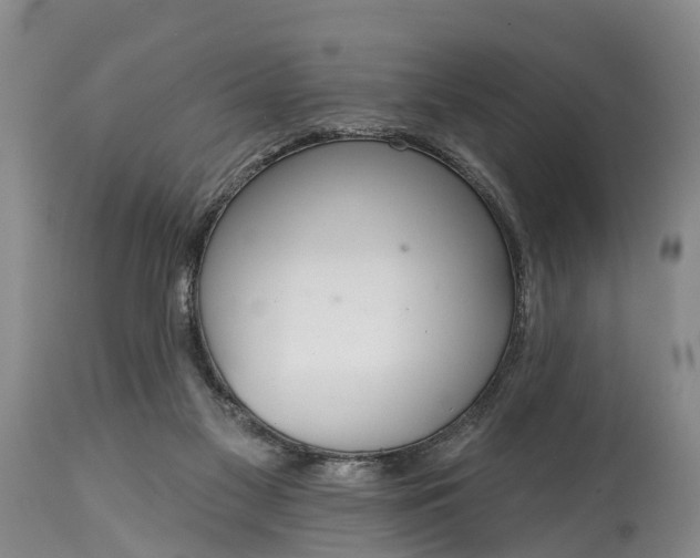 X0000115010117200911091429