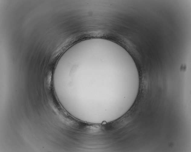 X0000115010118200911091429