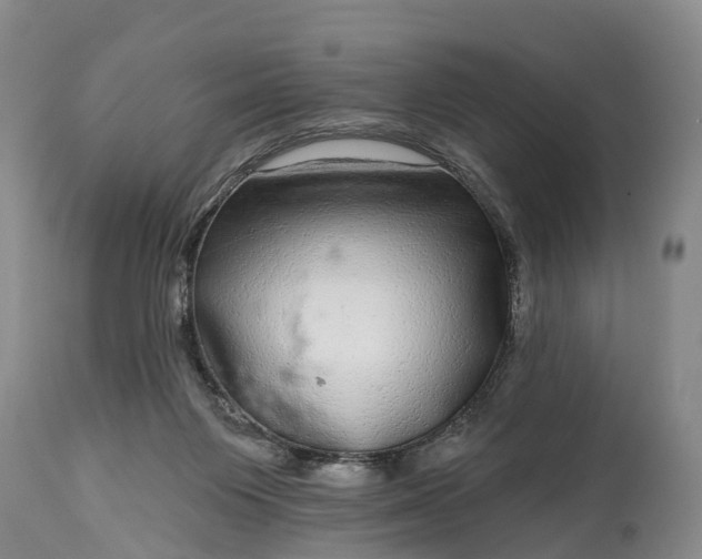 X0000115010119200911091429