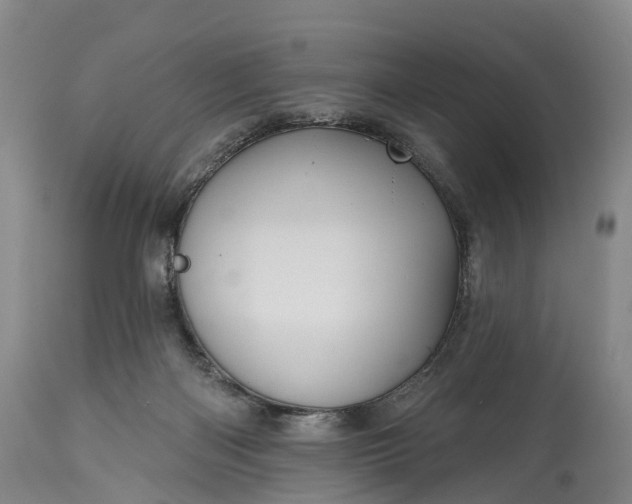 X0000115010122200911091429