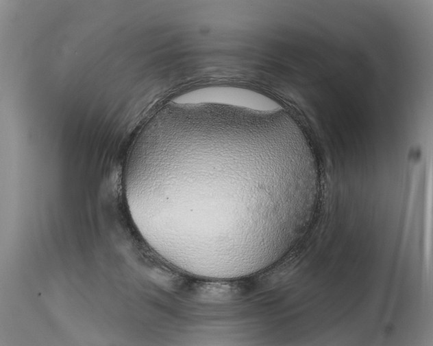 X0000115010123200911091429