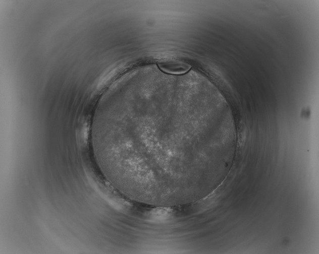 X0000115010124200911091429