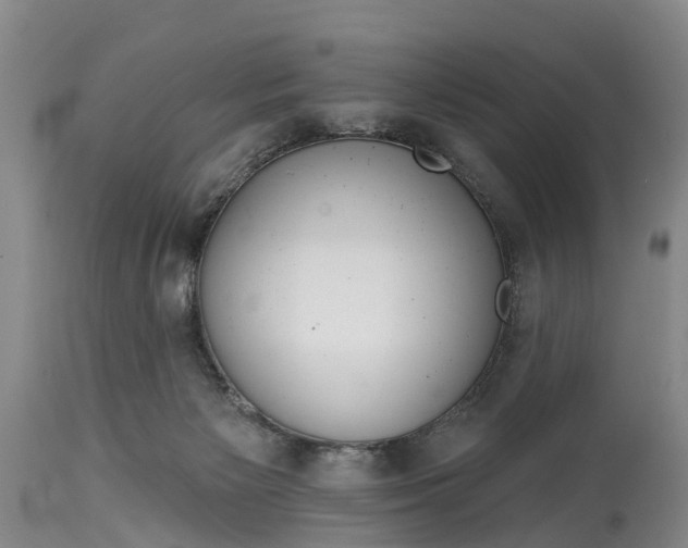 X0000115010125200911091429